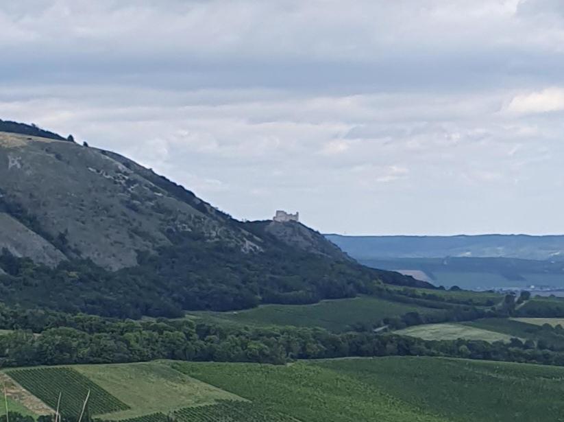 Ubytovani Nad Sklipkem Valtice Exterior photo